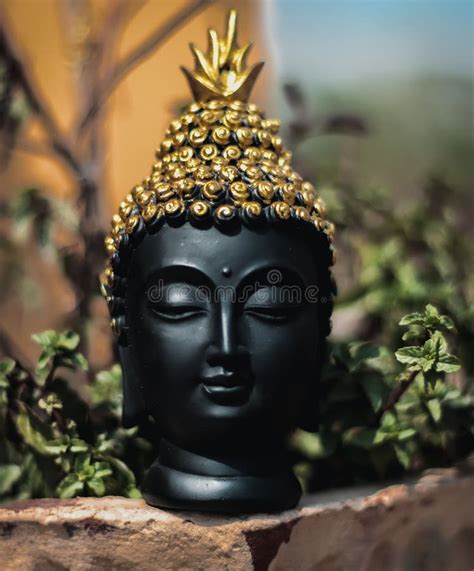 Statue Of A Buddhas Head Near Green Leaves Stock Photo Image Of