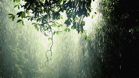 Nature Rain Wallpaper 60 Pictures Wallpaperset