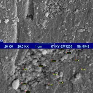 SEM images of nanoparticles achieved by NH 3 | Download Scientific Diagram 