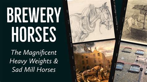 The Brewery Horses That Kept Londons Beer Flowing History Youtube