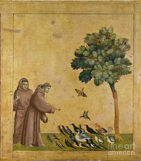 Saint Francis Of Assisi Preaching To The Birds Painting By Giotto Di