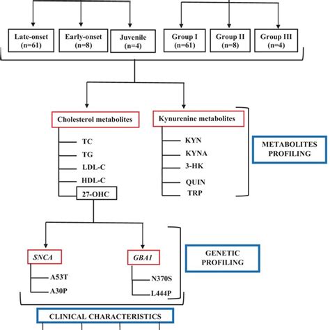 Flowchart Of The Study Design The Figure Depicts The Outline Of The