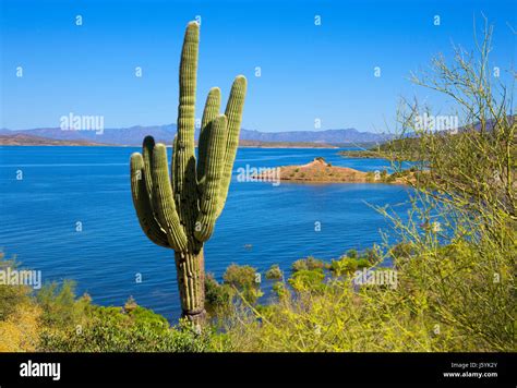 Theodore Roosevelt Lake Arizona Stock Photo Alamy