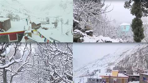 Himachal Weather Update Fresh Snowfall In High Altitude Areas Know