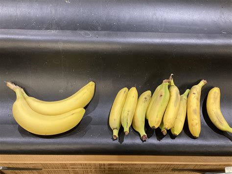 Bananas For Scale Rbananasforscale