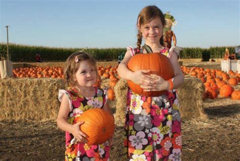 Corn Maze and Pumpkin Patch by Halloween Events & Pumpkin Patches ...