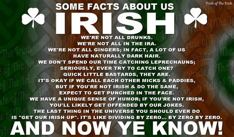 Pin By Siobhan Adamkewicz On Ireland Irish Funny Scots Irish Irish Quotes