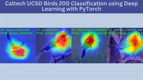 Bird Species Classification Archives Debuggercafe