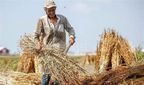 Çiftçi Kayıt Sistemi başvurusu için son gün yaklaşıyor Son Dakika