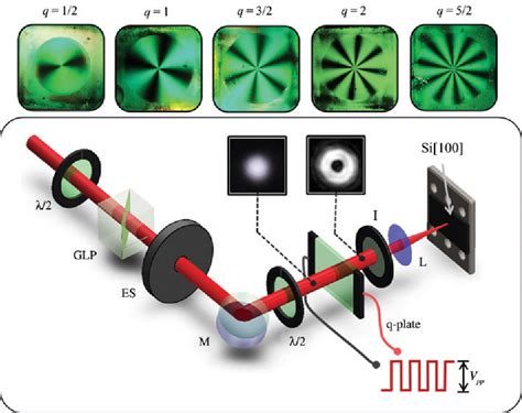 Figure From Direct Femtosecond Laser Surface Structuring With Complex