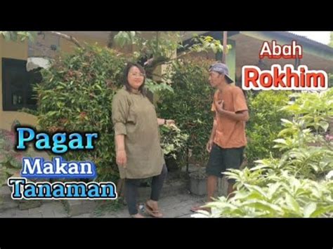 Pagar Makan Tanaman Cover By Abah Rokhim Youtube