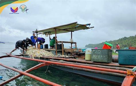 Pcg Bfar Operation Nets Two Illegal Fishers