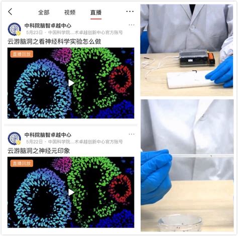 中科院脑智卓越中心举办“云游脑洞”公众科学日活动 中国科学院脑科学与智能技术卓越创新中心