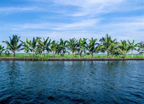 Coconut Lagoon at Vembanad Lake, Kerala, India Stock Image - Image of ...