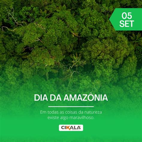 Hoje é o Dia da Amazônia Vamos cuidar da nossa floresta juntos