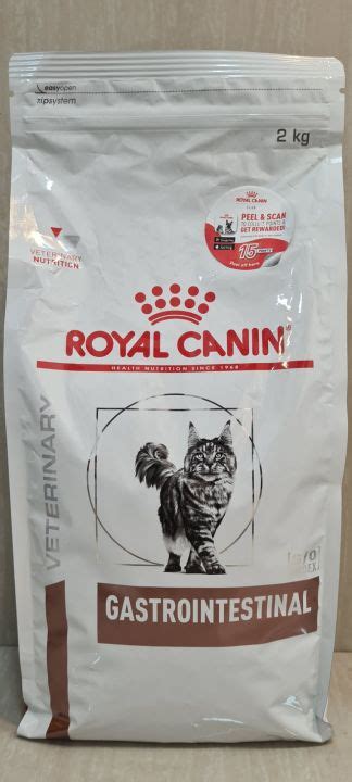 ROYAL CANIN GASTROINTESTINAL CAT FOOD 2 KILOGRAM | Lazada PH