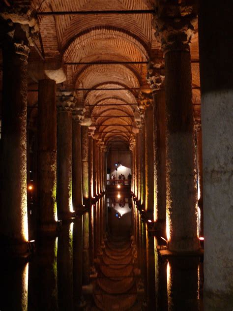 basilium Free Stock Photo | FreeImages