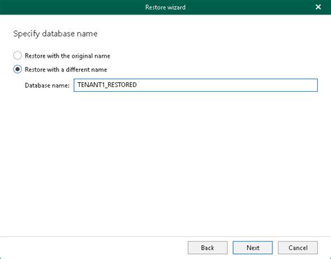 Step 4 Specify Database Name Veeam Backup Explorers Guide