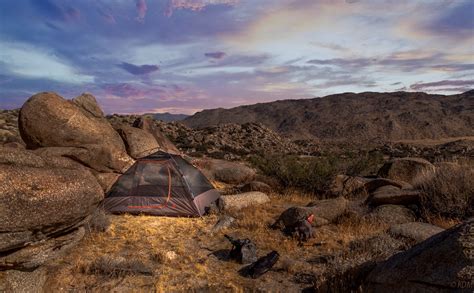 Visit Borrego Springs: 2024 Travel Guide for Borrego Springs ...