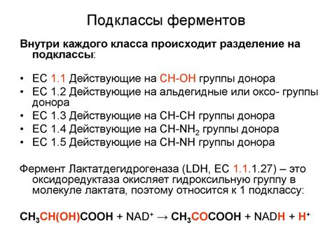 Ферменты. Использование ферментов человеком - online presentation