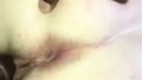 Free Close Up Anal Porn Videos 12 XHamster