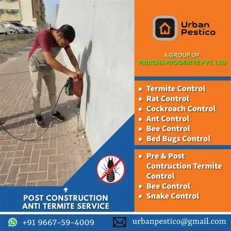 Delhi Ncr Termite Pest Control Service In Pan India In New Delhi