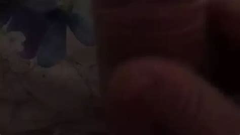 Free Wank Buddy Gay Porn Videos Xhamster