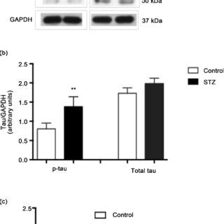 Effects Of Lithium Chloride On The Phosphorylation Of Tau In