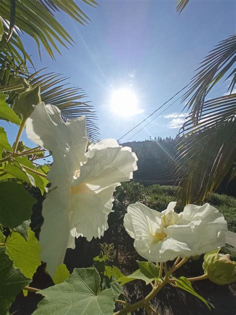 Sexta feira amanhece 4ºC na região de Brusque frio continua