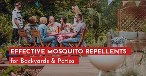 The Best Mosquito Repellent For Patio At Shanell Valenzuela Blog