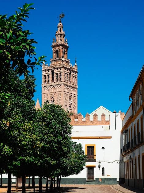 Panorámica de la giralda de sevilla desde el patio de banderas Foto