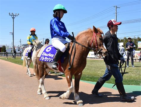 パカパカ工房 On Twitter 【ダーレージャパン杯・第2回門別ポニーレース（darley Japan Cup）】出走馬は全7頭。④