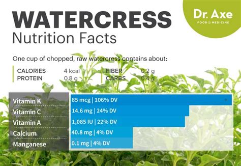 Watercress Benefits Nutrition Facts And Recipes Dr Axe