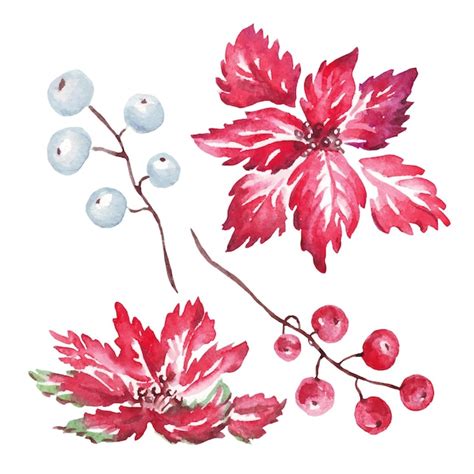 Décoration De Noël Clipart Aquarelle Vecteur Premium