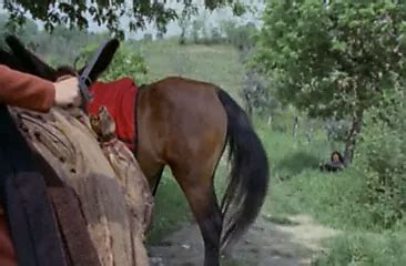 Erotic Adventures Of Zorro American Retro Porn By Titty Holes XHamster