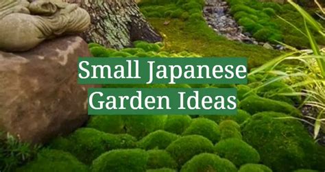 Small Japanese Garden Ideas Gardenprofy