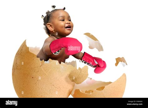 Baby Boxing High Resolution Stock Photography And Images Alamy