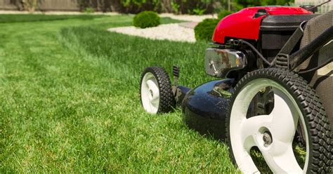 Spring Lawn Care Tips Frontier Landscaping