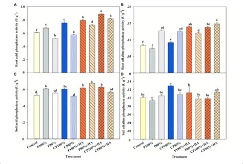 Activities Of Root Acid Phosphatase A Root Alkaline Phosphatase