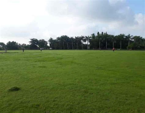 Top Cricket Turf Grounds in Khanpur Road - Best Cricket Turf Ground On ...