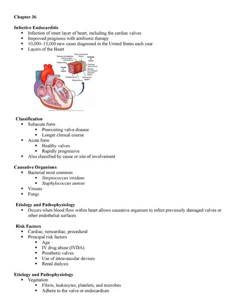 Chapter 36 Outline Chapter 36 Infective Endocarditis § Infection Of Inner Layer Of Heart