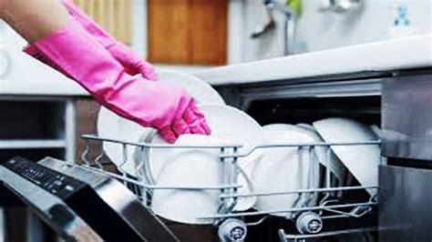 Hotel Dishwasher Awarded 21m After Suing Boss For Making Her Work Sundays Daily Times