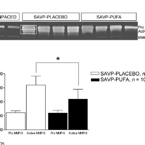 Gelatinase Activity Assays A The Two First Upper Bands Represent Download Scientific