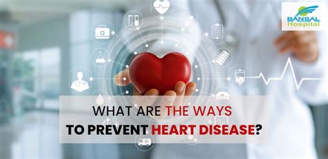 What Are The Ways To Prevent Heart Disease Bansal Hospital Bhopal