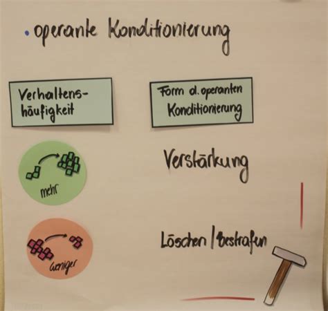 Operante Konditionierung Diagram Quizlet