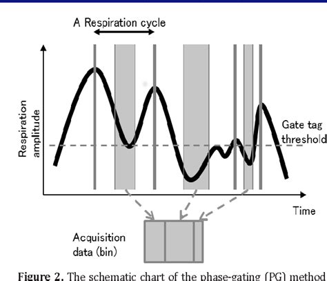 Figure 2 From The Efficiency Of Respiratory Gated 18f Fdg Petct In