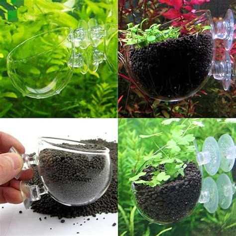 Support De Plantes Aquatiques Pot De Plantes En Verre Avec Ventouses