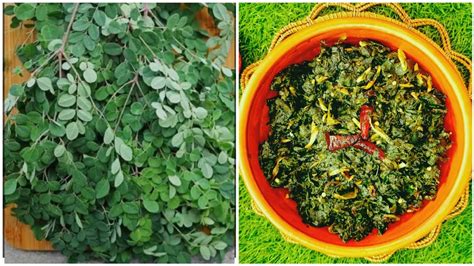 Moringa Leaves Recipe How To Make Drumstick Leaves Super Food