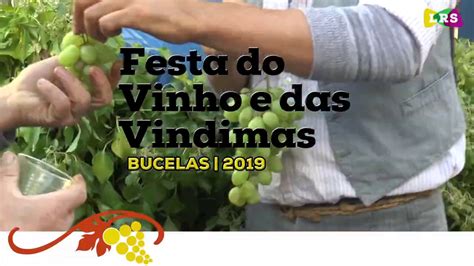 Festa Do Vinho E Das Vindimas 2019 YouTube