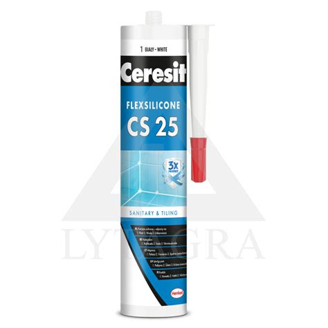 SILIKONAS CS25 IRON GREY 280ML | LYTAGRA
